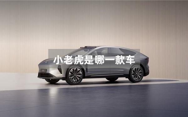 小老虎是哪一款车