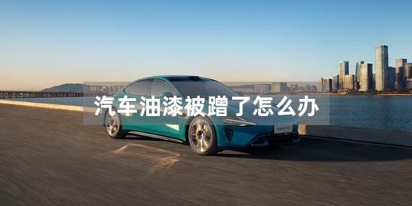 汽车油漆被蹭了怎么办