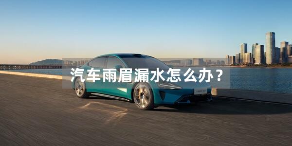 汽车雨眉漏水怎么办？