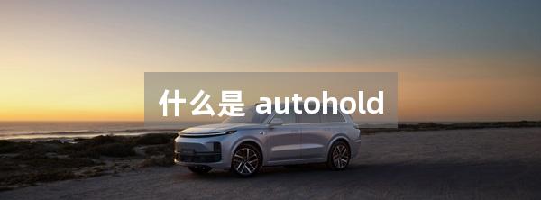 什么是 autohold