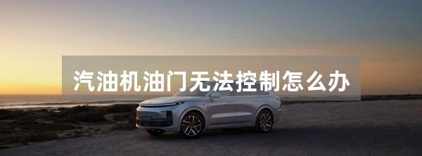 汽油机油门无法控制怎么办