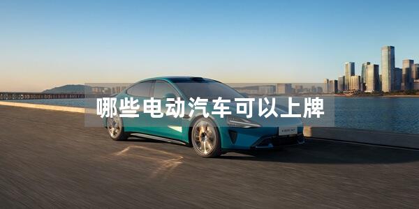 哪些电动汽车可以上牌