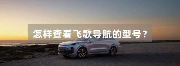 怎样查看飞歌导航的型号?