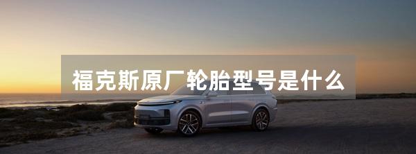 福克斯原厂轮胎型号是什么