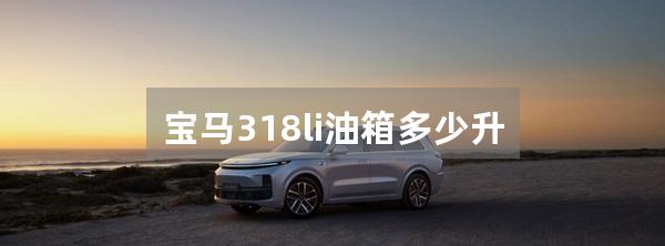 宝马318li油箱多少升