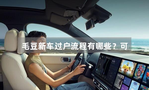 毛豆新车过户流程有哪些？可能遇到哪些问题？