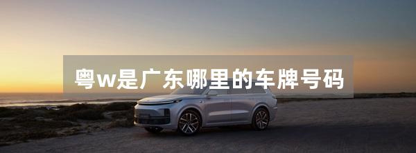 粤w是广东哪里的车牌号码