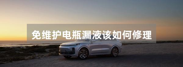 免维护电瓶漏液该如何修理