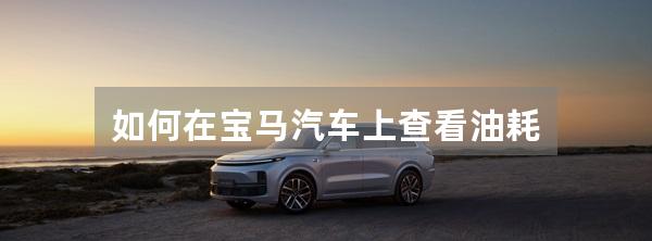 如何在宝马汽车上查看油耗