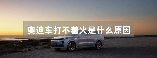 奥迪车打不着火是什么原因