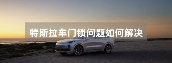 特斯拉车门锁问题如何解决