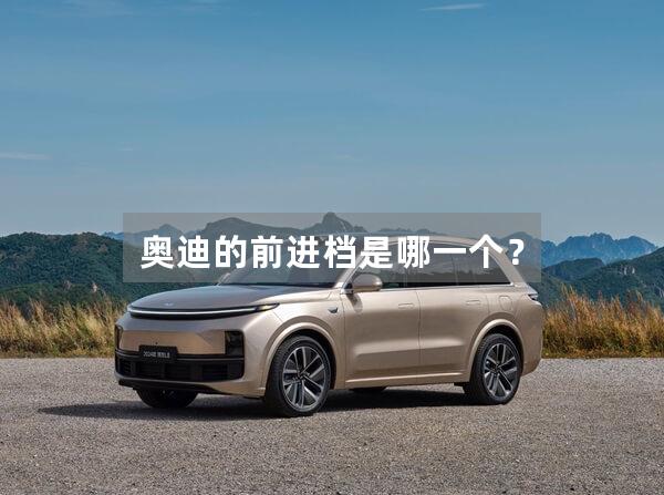 奥迪的前进档是哪一个？