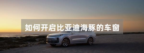 如何开启比亚迪海豚的车窗