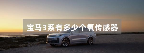 宝马3系有多少个氧传感器