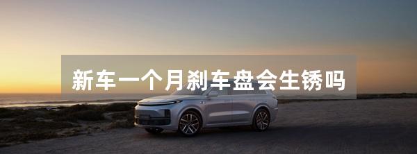 新车一个月刹车盘会生锈吗