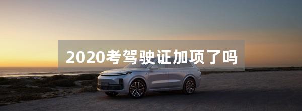 2020考驾驶证加项了吗