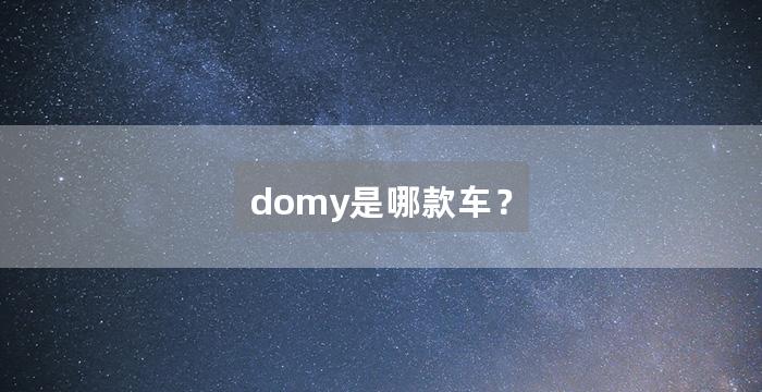 domy是哪款车?