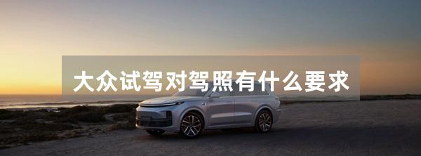 大众试驾对驾照有什么要求