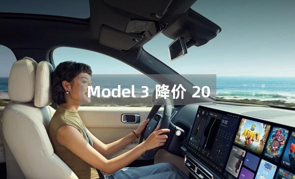 Model 3 降价 20%后质量会有变化吗?