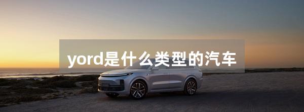 yord是什么类型的汽车